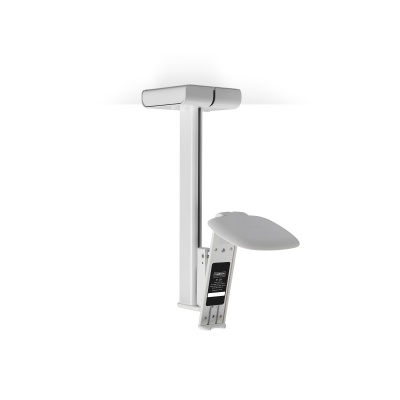 Flexson Ceiling Mount for Sonos One/Play:1